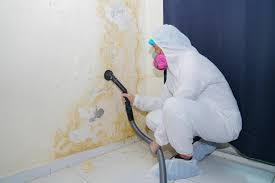 Best Residential Mold Inspection & Testing  in Glen Carbon, IL